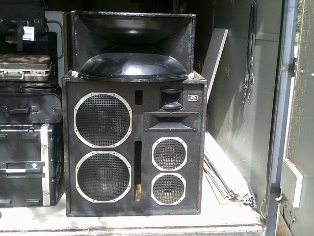 Peavey 3020 and FH-1 Horns, PA Cabinets.